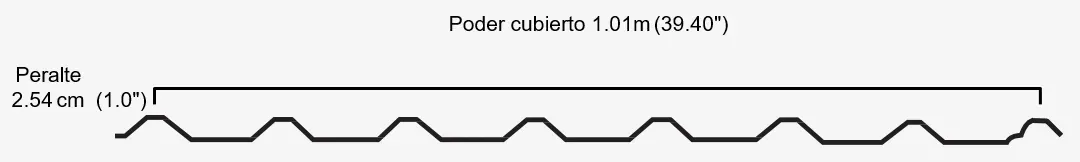 Geometría y medidas de CM-100 / R-101